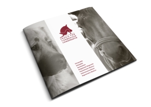 Broschüre Praxis für Tiermedizin & Chiropraktik, Frankfurt/Main